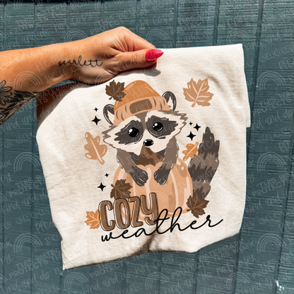 Cozy Weather Racoon