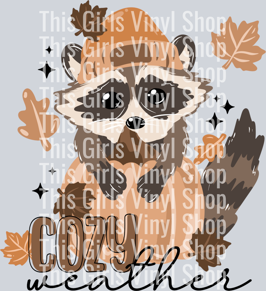 Cozy_Weather_Racoon