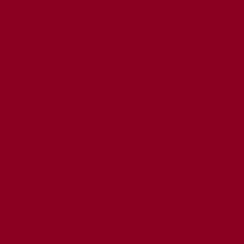 Load image into Gallery viewer, Siser® EasyWeed® (Burgundy) | This Girls Vinyl Shop
