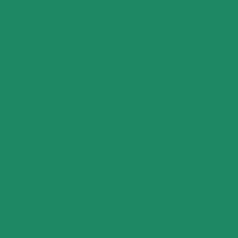 Load image into Gallery viewer, Siser® EasyWeed®
