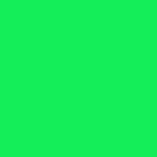 Load image into Gallery viewer, Siser® EasyWeed® (Fluorescent Green) | This Girls Vinyl Shop
