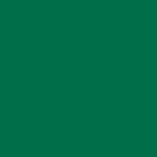 Load image into Gallery viewer, Siser® EasyWeed® (Green) | This Girls Vinyl Shop
