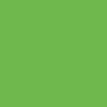 Load image into Gallery viewer, Siser® EasyWeed® (Green Apple) | This Girls Vinyl Shop
