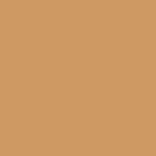 Load image into Gallery viewer, Siser® EasyWeed® (Tan) | This Girls Vinyl Shop
