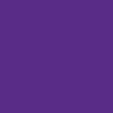 Load image into Gallery viewer, Oracal® 651 Permanent Adhesive Vinyl (Purple) | This Girls Vinyl Shop
